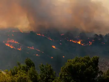GRECIA LANZA VACACIONES "GRATUITAS" PARA TURISTAS QUE HUYERON DE INCENDIOS GRECIA LANZA VACACIONES "GRATUITAS" PARA TURISTAS QUE HUYERON DE INCENDIOS