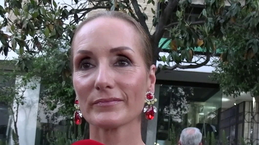 Sandra Ibarra haciendo declaraciones a la prensa Sandra Ibarra haciendo declaraciones a la prensa