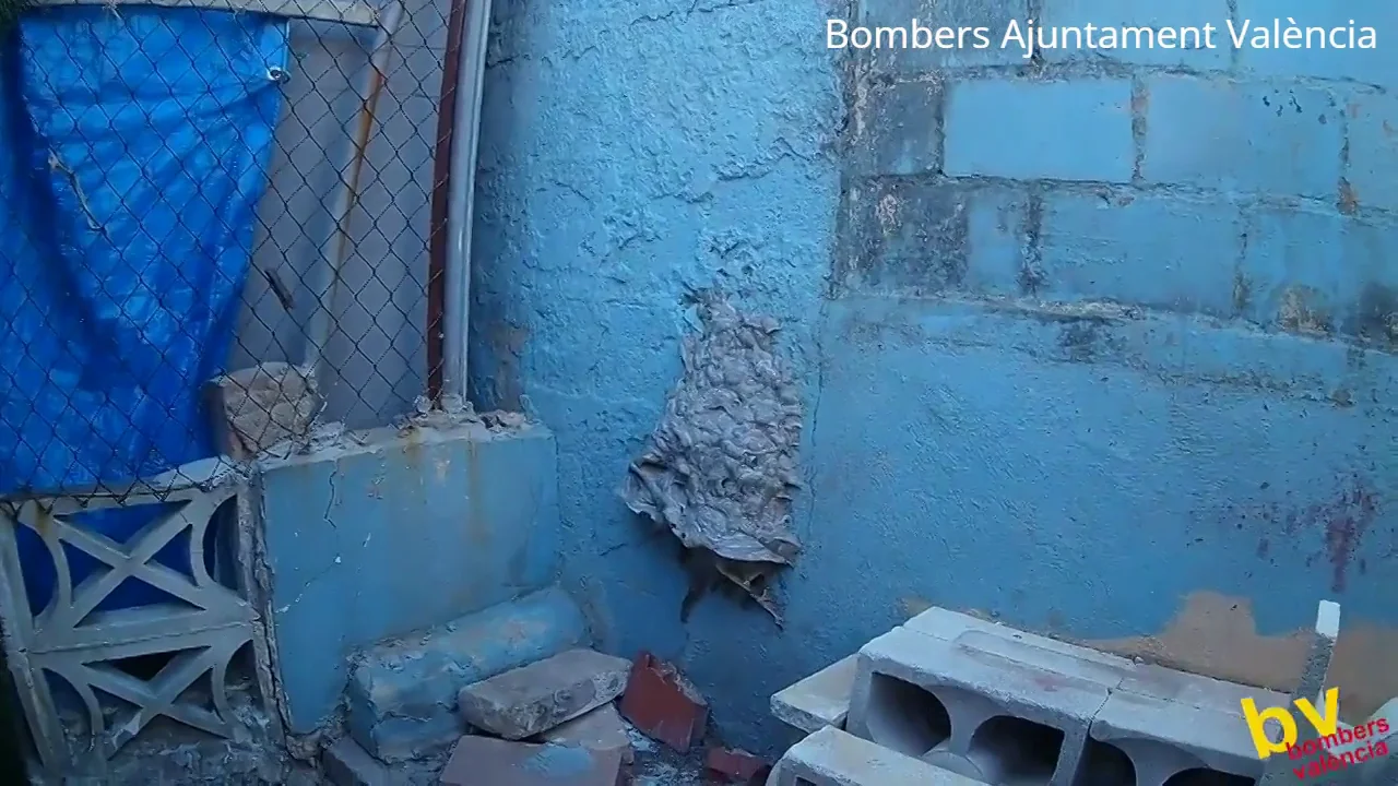 Los bomberos alertan de la llegada de himen&oacute;pteros