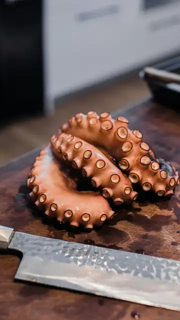 Tentáculos de pulpo Tentáculos de pulpo