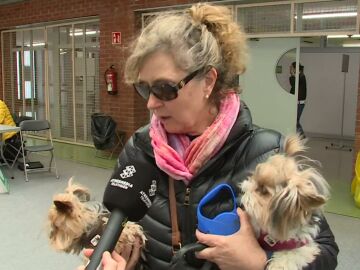 Mujer acude a votar con sus perros
