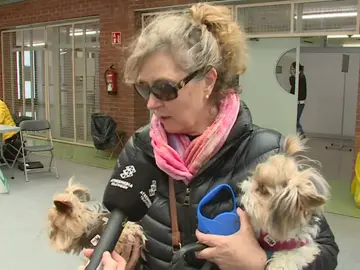 Mujer acude a votar con sus perros Mujer acude a votar con sus perros