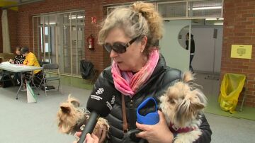 Mujer acude a votar con sus perros