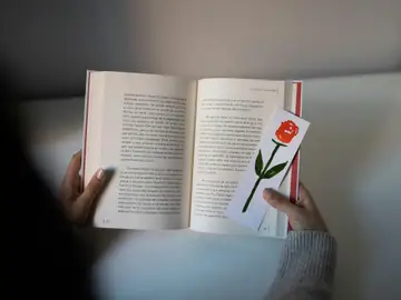 Libro de Sant Jordi Libro de Sant Jordi