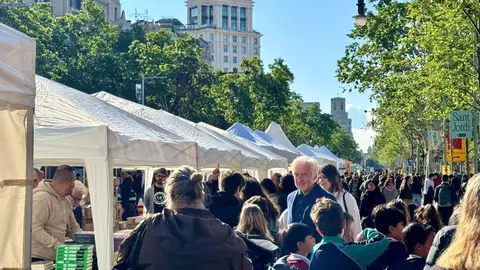 Barcelona inicia un Sant Jordi que aspira a batir récord de ventas de libros y rosas Barcelona inicia un Sant Jordi que aspira a batir récord de ventas de libros y rosas