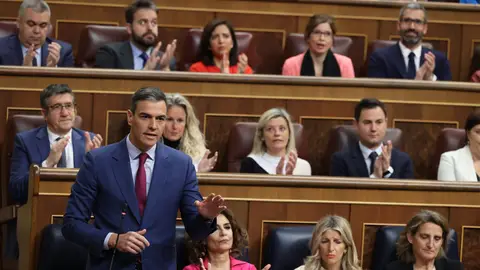 Pedro Sánchez durante una sesión de control al Gobierno Pedro Sánchez durante una sesión de control al Gobierno