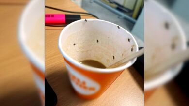 La madre de la joven que ha acabado en la UCI por beber un café con insectos: 