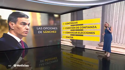 Opciones de Pedro Sánchez