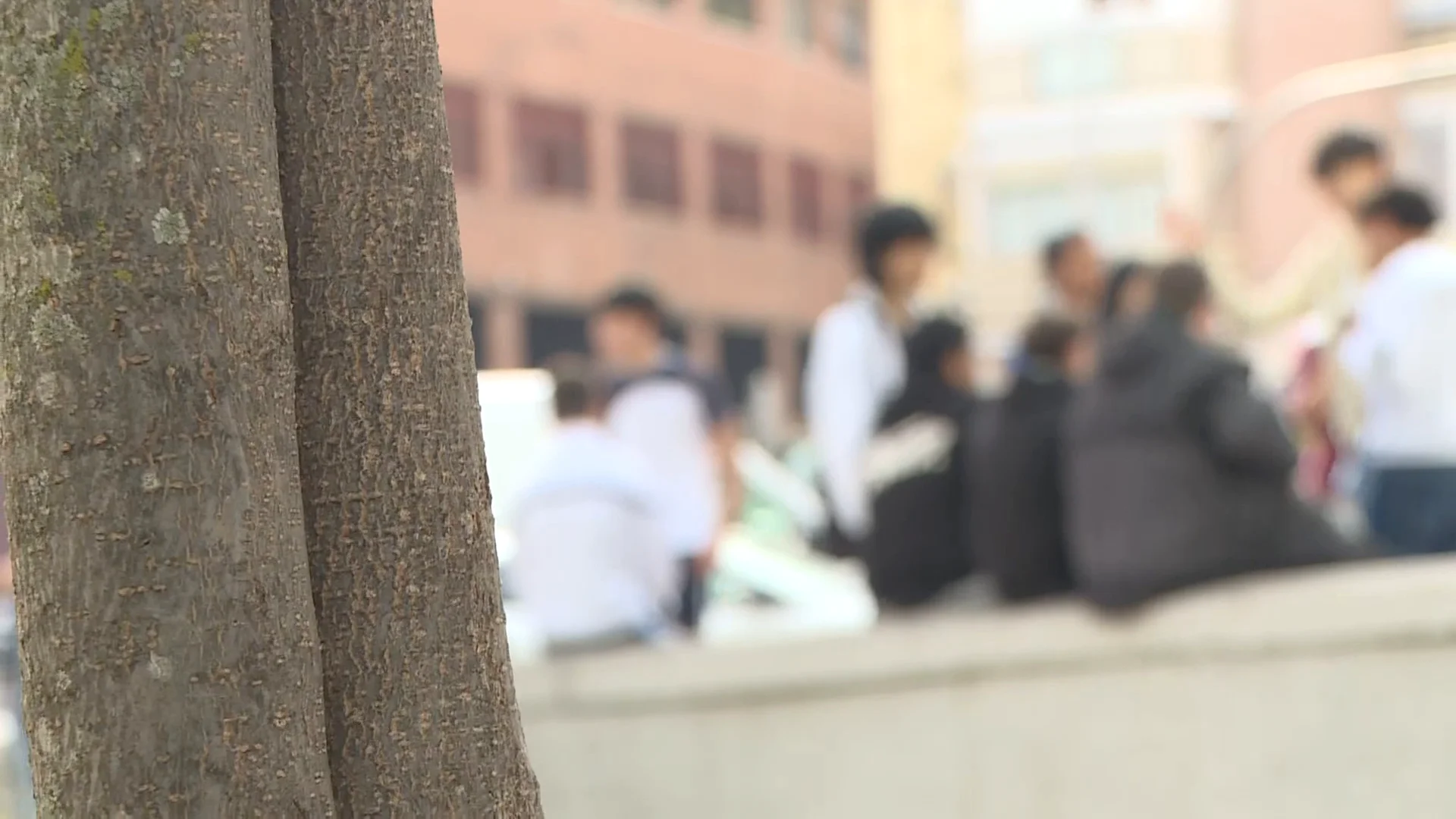 La vecina que atendió al menor que se lanzó desde la ventana del colegio: "No lo vi caer, miré al suelo y estaba tumbado" La vecina que atendió al menor que se lanzó desde la ventana del colegio: "No lo vi caer, miré al suelo y estaba tumbado"
