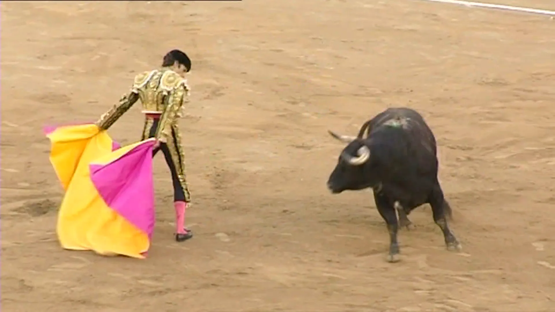 Torero Torero