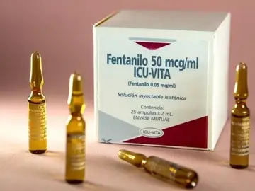 Descubierta una enfermedad cerebral causada por consumo de fentanilo Descubierta una enfermedad cerebral causada por consumo de fentanilo