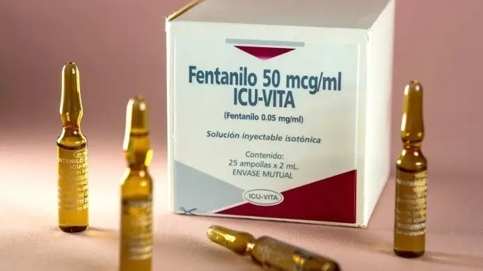 Descubierta una enfermedad cerebral causada por consumo de fentanilo Descubierta una enfermedad cerebral causada por consumo de fentanilo