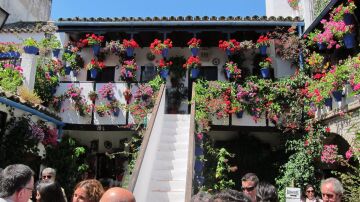 La Fiesta de los Patios de Córdoba comienza este jueves con 63 recintos, con 52 en concurso
