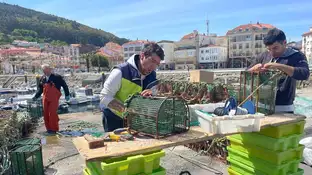 ¿Por qué nadie quiere ser marinero? ¿Por qué nadie quiere ser marinero?