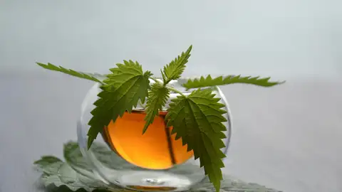 Infusión de ortiga Infusión de ortiga