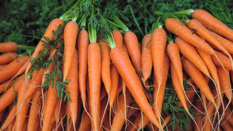 Zanahorias Zanahorias