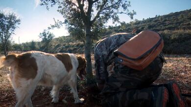 Un perro vuelve a casa tras un paseo con un brazo humano en la boca: 