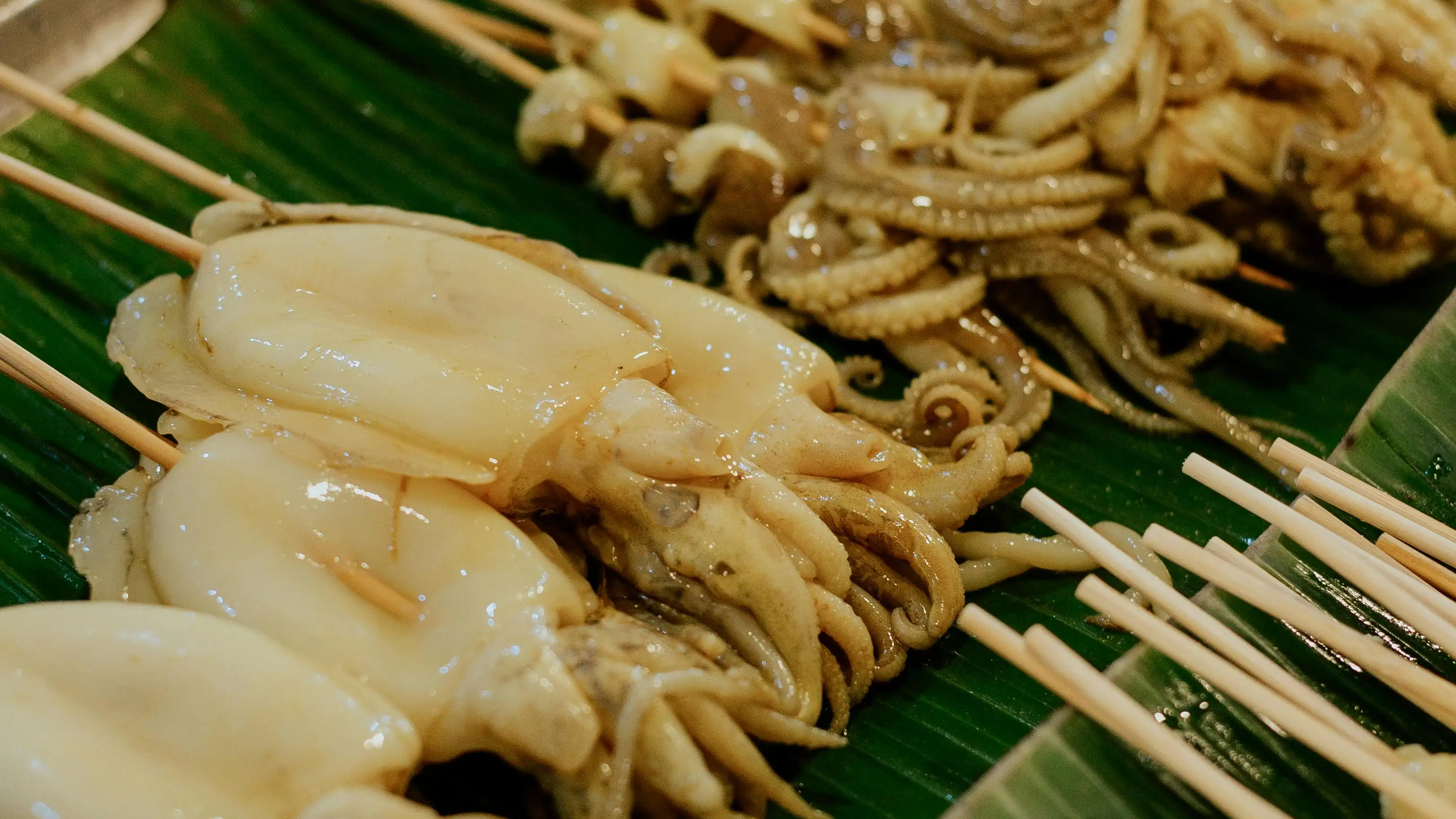 Imagen de archivo de unos calamares