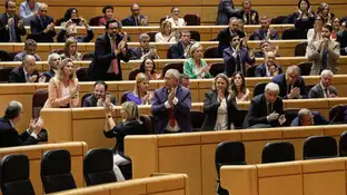 Los senadores populares aplauden tras la aprobación del veto del PP Los senadores populares aplauden tras la aprobación del veto del PP
