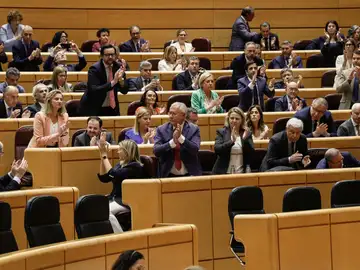 Los senadores populares aplauden tras la aprobación del veto del PP Los senadores populares aplauden tras la aprobación del veto del PP