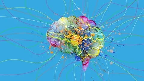 Conexiones cerebrales Conexiones cerebrales