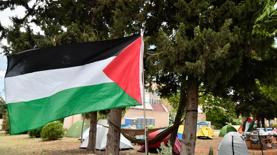Imagen de una bandera palestina Imagen de una bandera palestina