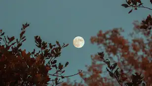 Imagen de archivo de una luna llena