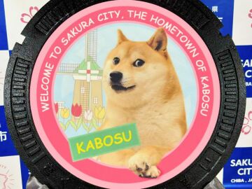 Imagen de Kabosu, el perro que protagoniza la criptomoneda 'Dogecoin'