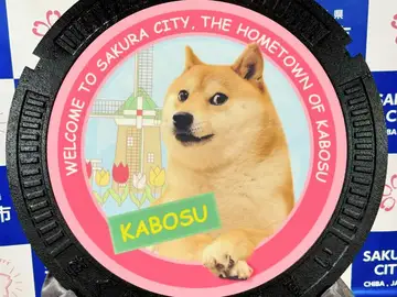 Imagen de Kabosu, el perro que protagoniza la criptomoneda 'Dogecoin' Imagen de Kabosu, el perro que protagoniza la criptomoneda 'Dogecoin'