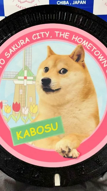 Imagen de Kabosu, el perro que protagoniza la criptomoneda &#39;Dogecoin&#39;