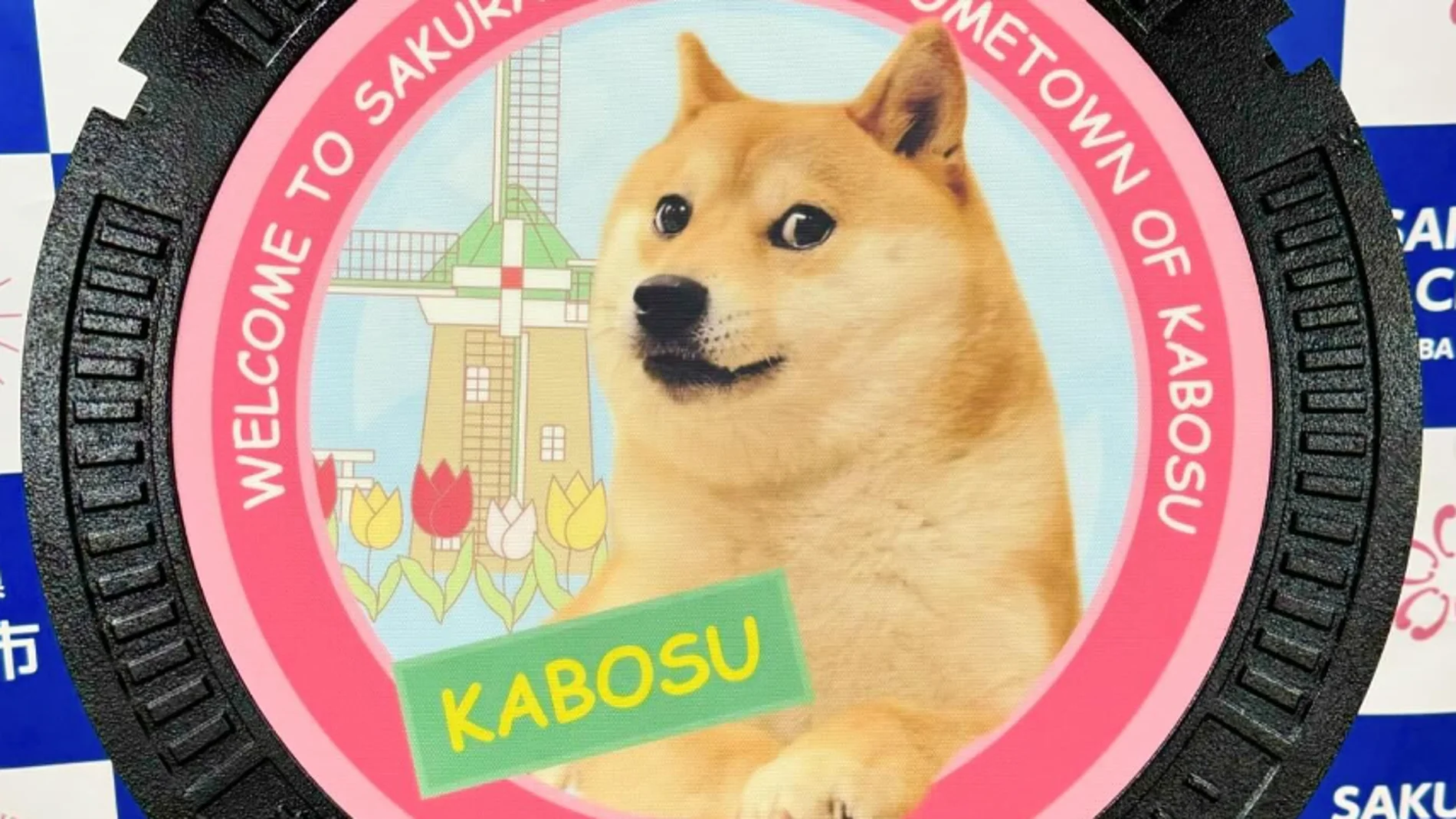 Imagen de Kabosu, el perro que protagoniza la criptomoneda &#39;Dogecoin&#39;