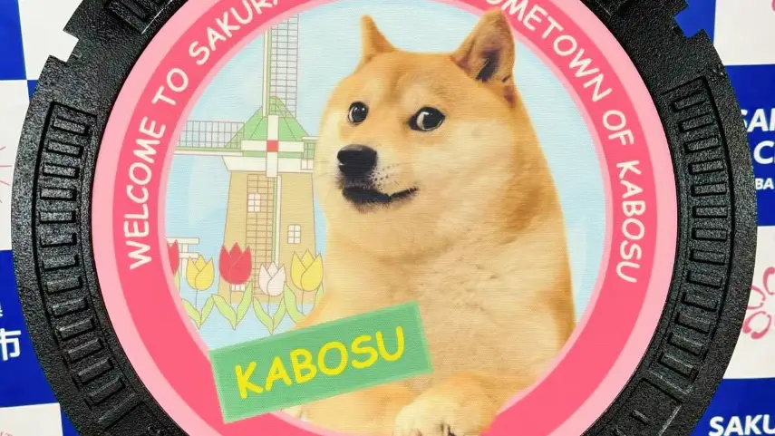 Imagen de Kabosu, el perro que protagoniza la criptomoneda 'Dogecoin' Imagen de Kabosu, el perro que protagoniza la criptomoneda 'Dogecoin'