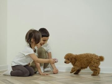 Una niña y un niño con un perro en casa.