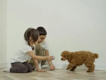 Una niña y un niño con un perro en casa. Una niña y un niño con un perro en casa.