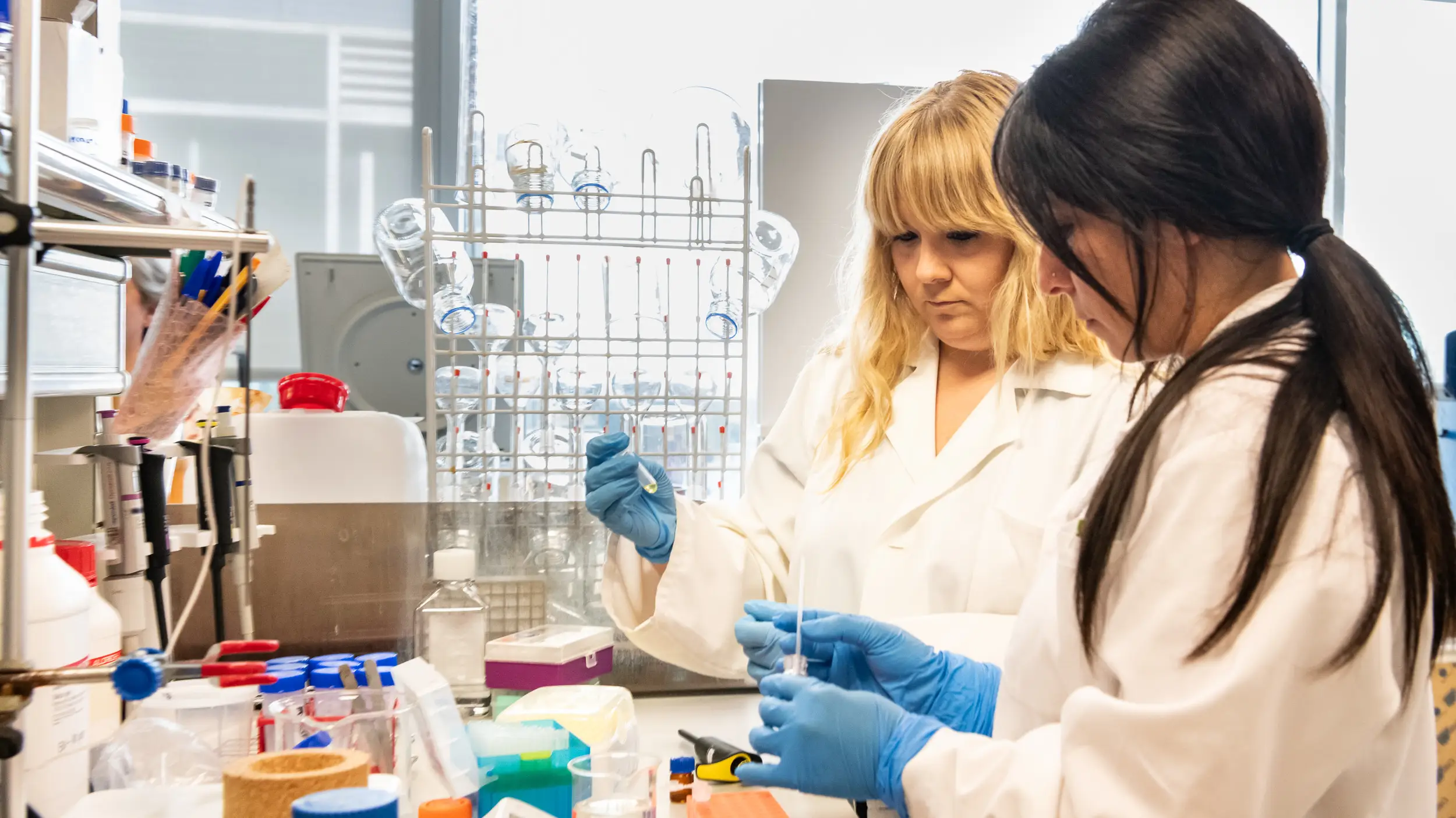 Innova.- Desarrollan un "nanokiller" inteligente contra bacterias y otros patógenos Noanokillers. VICENTE LARA ACOM UPV 23/05/2024