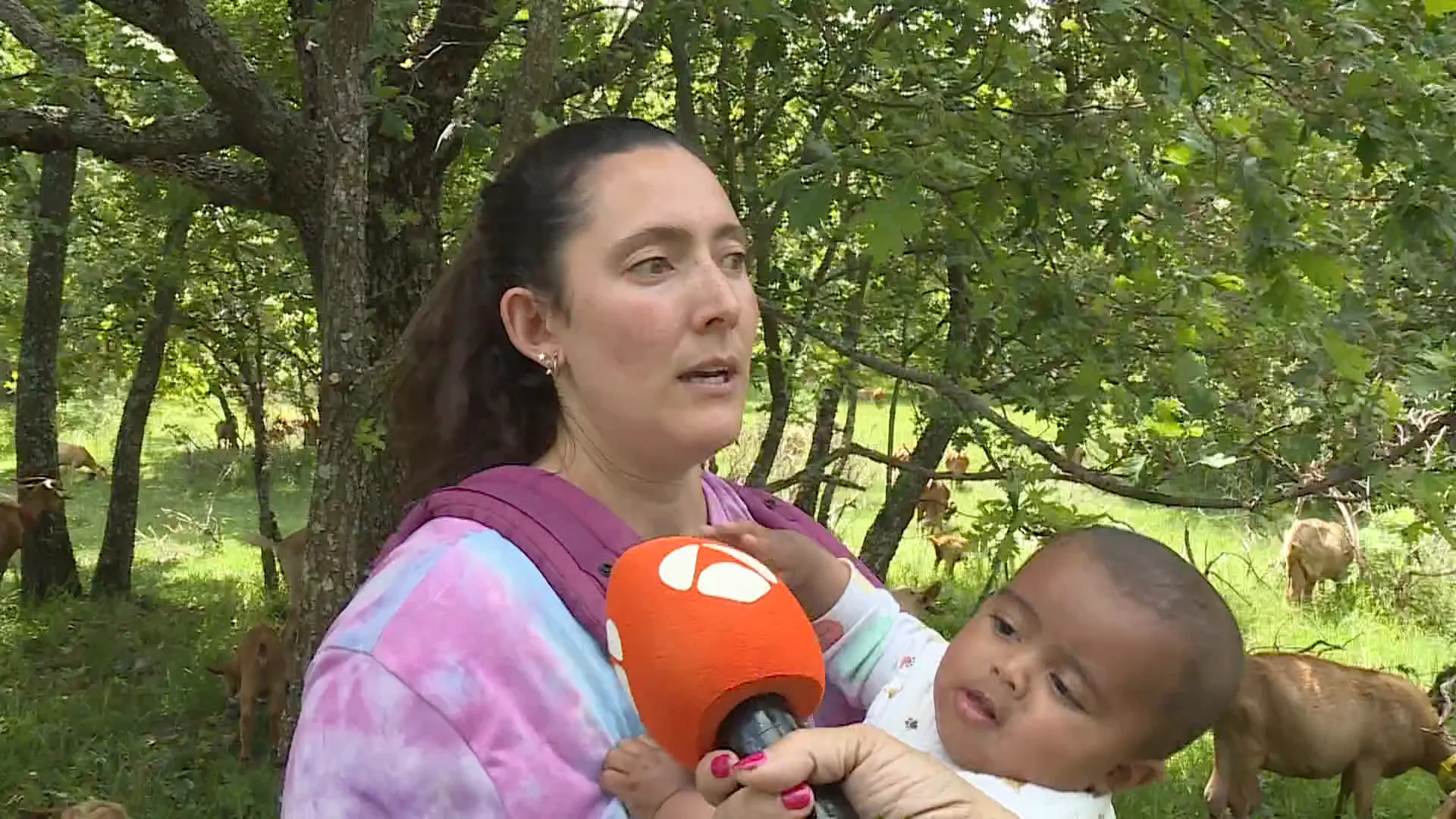 Una mujer en el mundo rural Una mujer en el mundo rural