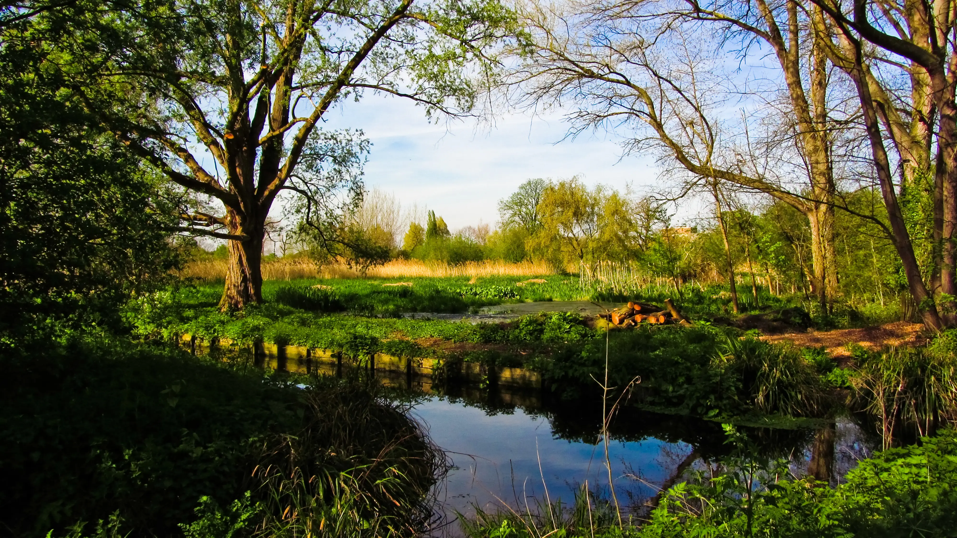 Imagen del r&iacute;o River Wandle