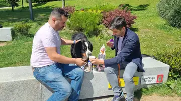 'YowUp', el nuevo helado para perros