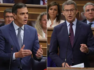 Pedro Sánchez y Núñez Feijóo intervienen en el Congreso Pedro Sánchez y Núñez Feijóo intervienen en el Congreso