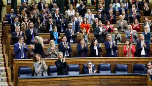 Diputados del PSOE y miembros del Gobierno aplauden en Congreso de los Diputados