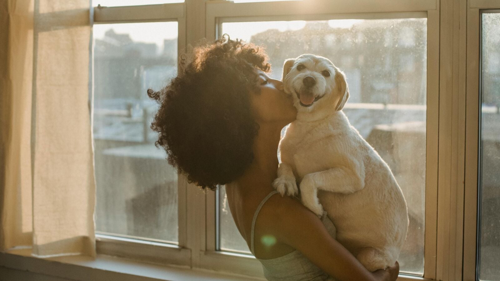 El remedio casero, y más potente que la lejía, para eliminar de raíz el olor a pis de tu gato o perro 