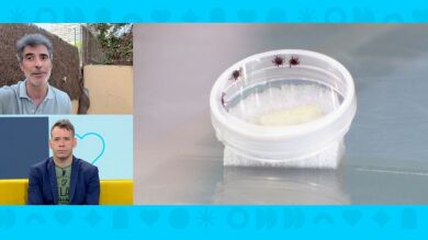 Jorge Fernández cuenta su viacrucis con la enfermedad de Lyme: 