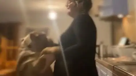Nicole Morey bailando junto a uno de sus padres en un vídeo de sus redes sociales Nicole Morey bailando junto a uno de sus padres en un vídeo de sus redes sociales