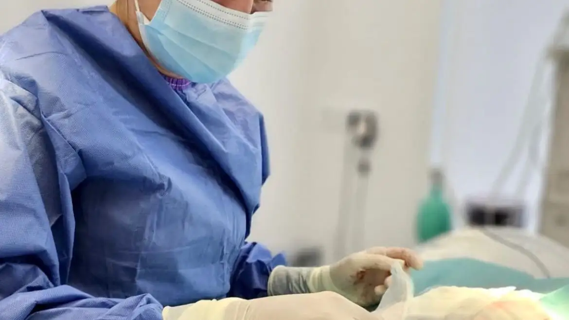 Andrea Rodr&iacute;guez, veterinaria ambulante