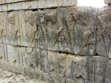 Circinaria persepolitana creciendo sobre un bajorrelieve en Persépolis