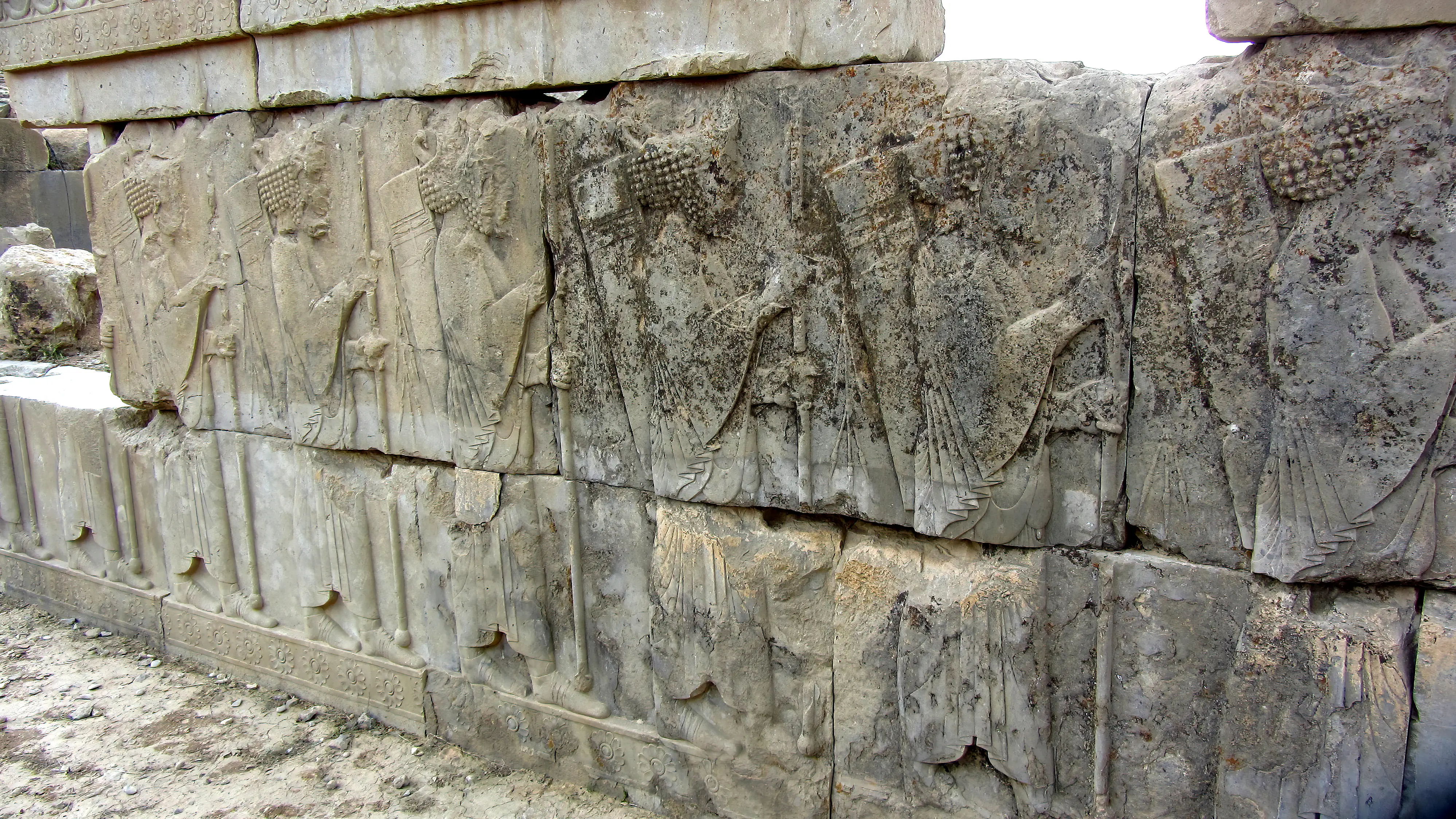 Circinaria persepolitana creciendo sobre un bajorrelieve en Persépolis Circinaria persepolitana creciendo sobre un bajorrelieve en Persépolis