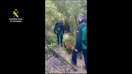 Perros rastreadores se suman a la búsqueda del turista británico Perros rastreadores se suman a la búsqueda del turista británico