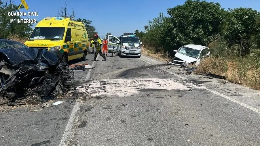 Imagen del siniestro ocurrido próximo a la localidad de Lora del Río (Sevilla) Imagen del siniestro ocurrido próximo a la localidad de Lora del Río (Sevilla)