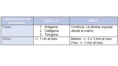 Tabla de las características de creciemiento del cabello y las uñas Tabla de las características de creciemiento del cabello y las uñas