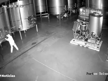 Detenida una mujer por sabotear y tirar mas 60.000 litros de vino en las Bodegas Cepa 21 Detenida una mujer por sabotear y tirar mas 60.000 litros de vino en las Bodegas Cepa 21